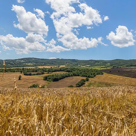 2 Bedroom Pet Friendly In *