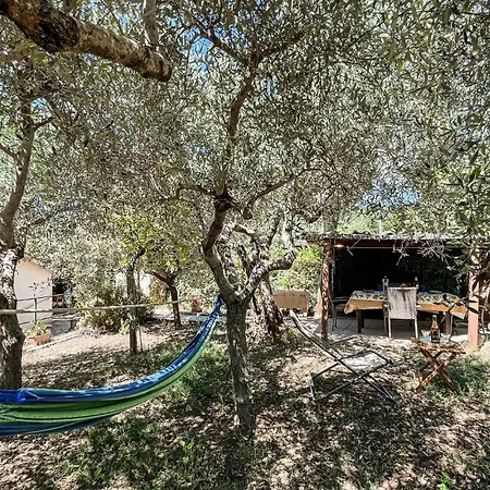 2 Bedroom Pet Friendly In Todi